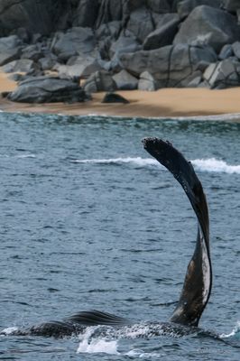 DSCF6138.jpg