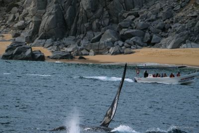 DSCF6139.jpg