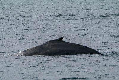 DSCF6144.jpg
