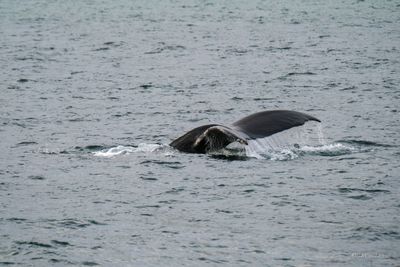 DSCF6148.jpg