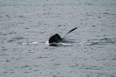 DSCF6152.jpg