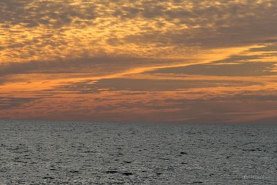 DSCF6156.jpg