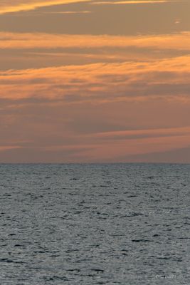 DSCF6158.jpg