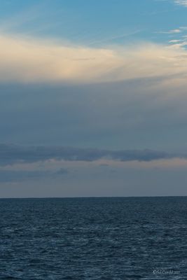 DSCF6161.jpg