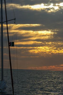 DSCF6163.jpg
