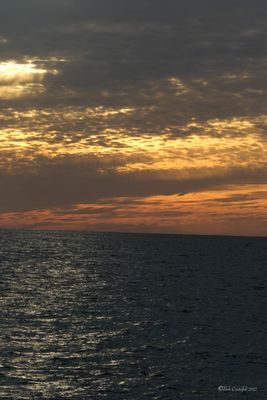 DSCF6164.jpg