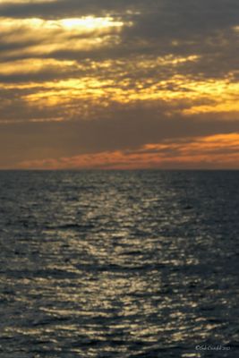 DSCF6166.jpg