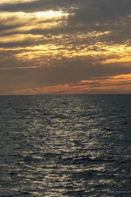 DSCF6167.jpg