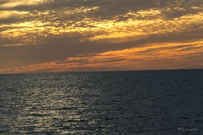 DSCF6169.jpg