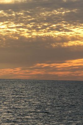 DSCF6174.jpg