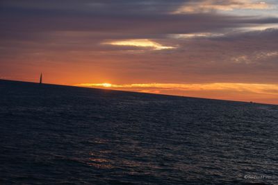 DSCF6203.jpg