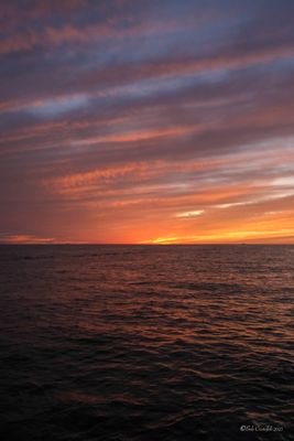 DSCF6217.jpg
