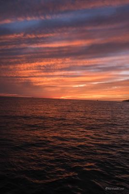 DSCF6220.jpg