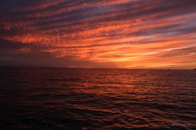 DSCF6224.jpg