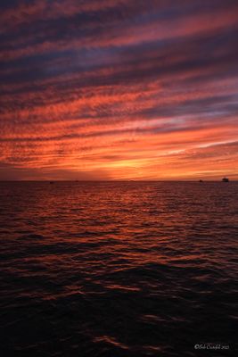 DSCF6228.jpg