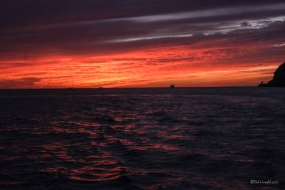 DSCF6237.jpg