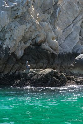 DSCF6279.jpg