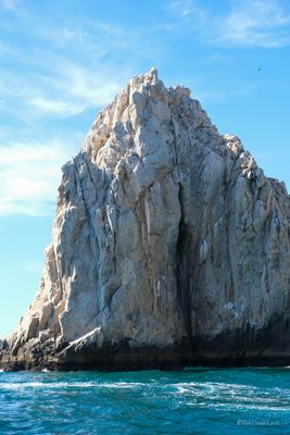 DSCF6310.jpg