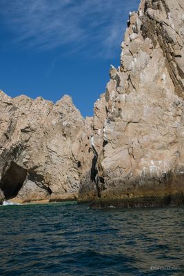 DSCF6317.jpg