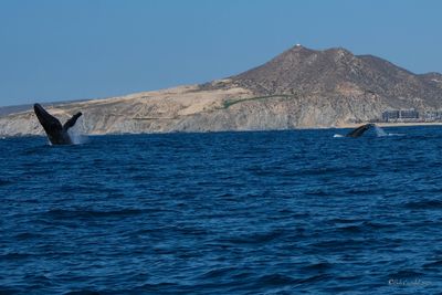 DSCF6327.jpg