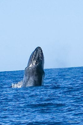 DSCF6371.jpg