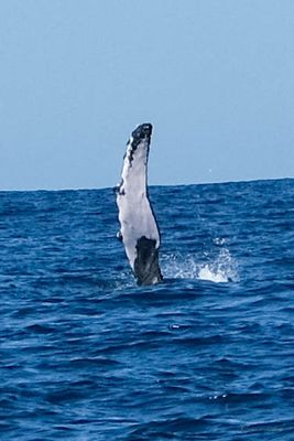 DSCF6389.jpg