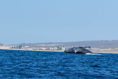 DSCF6409.jpg