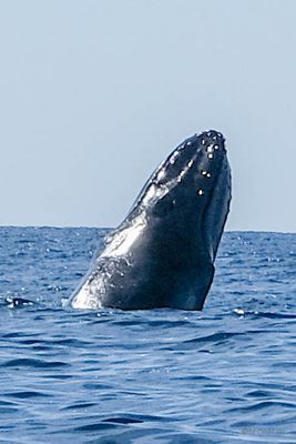 DSCF6439.jpg