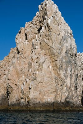 DSCF6539.jpg