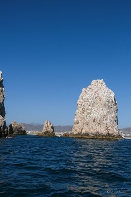 DSCF6542.jpg