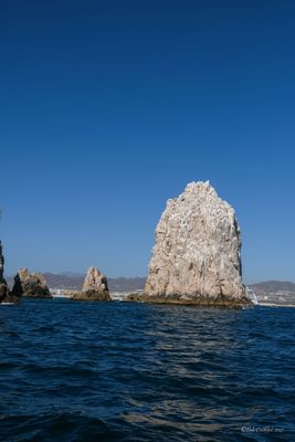 DSCF6543.jpg