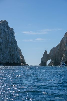DSCF6550.jpg