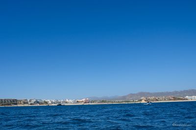 DSCF6563.jpg