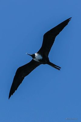 DSCF6567.jpg