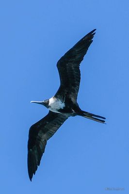DSCF6568.jpg