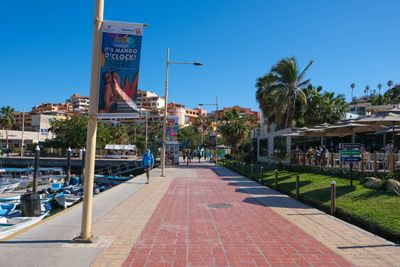 DSCF6603-2.jpg