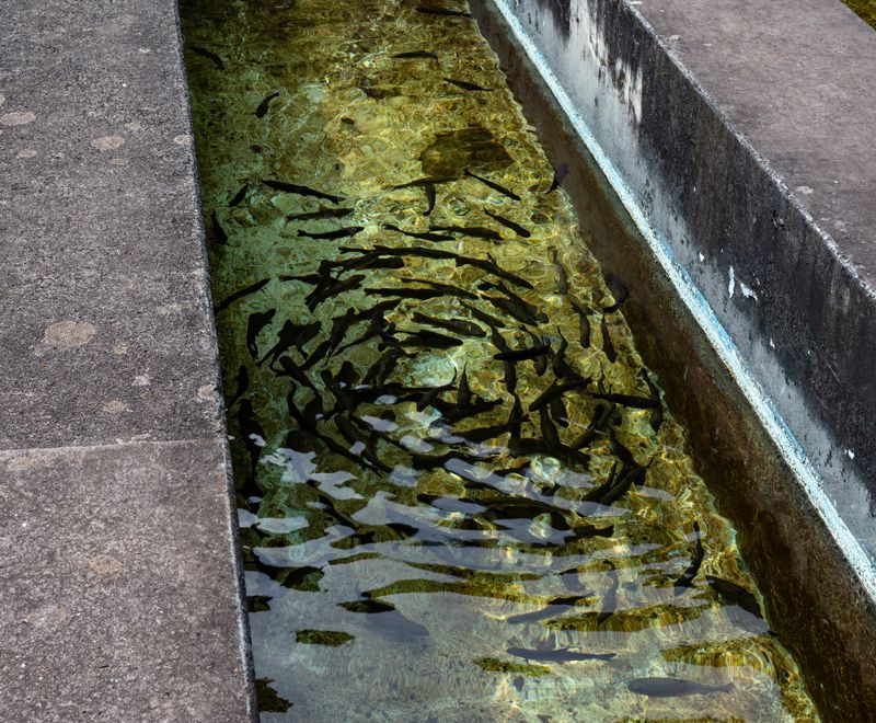 Busrit Oosten-15.jpg