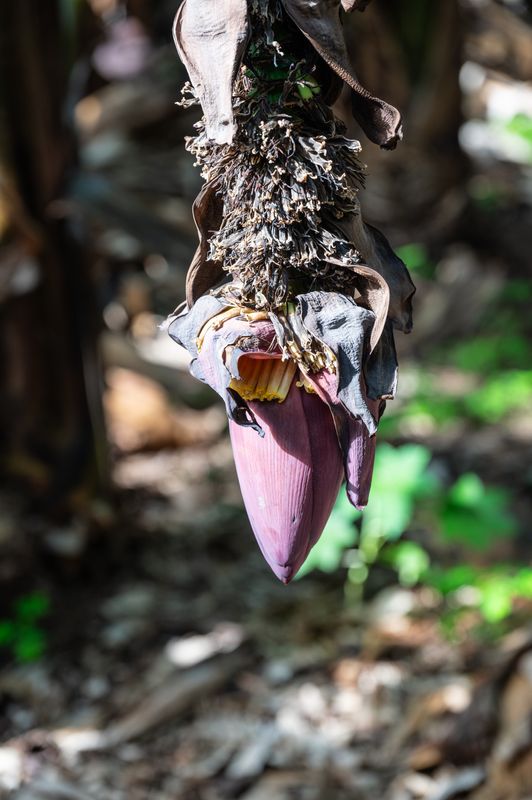 Busrit Westen-21.jpg