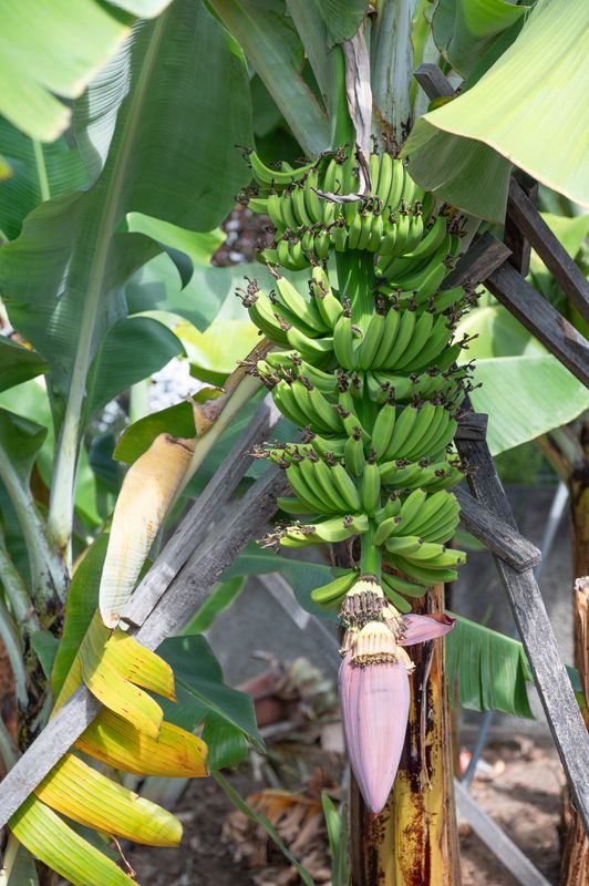 Busrit Westen-23.jpg