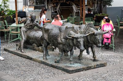 Funchal-16.jpg