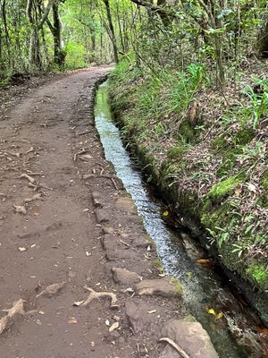 Caldeiro Verde-13.jpg