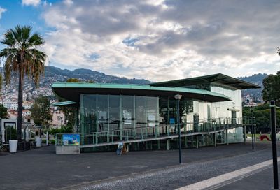 Monte-1.jpg