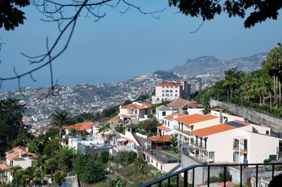 Monte-14.jpg