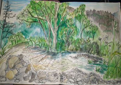 Montana creek sketch