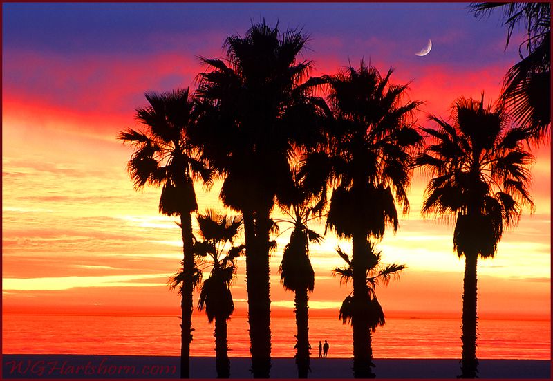 SunseTwilight Moonlight Magic