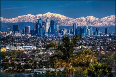 LOS ANGELES WINTER