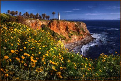 Point Vicente Lighthouse 
