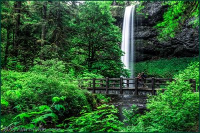 SilverFalls State Park