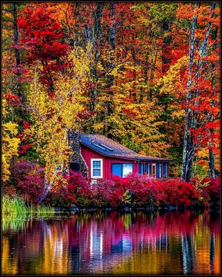 Reflections of Autumn 🍁🍂🍁