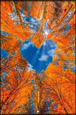 I Love Autumn 🍁🍂